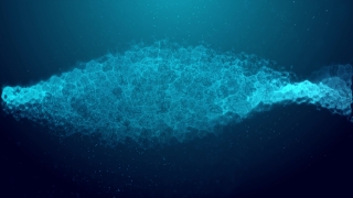 Reef, Ocean, Jellyfish, Marine, Sea, Underwater