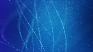 Light, Design, Wallpaper, Backdrop, Digital, Pattern