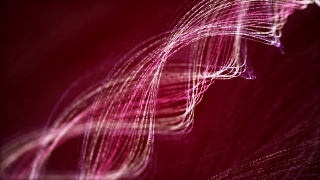 Spider Web, Fractal, Digital, Web, Light, Design