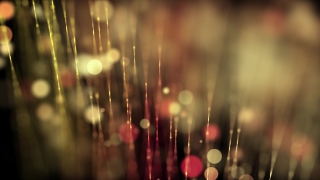 Hairbrush, Brush, Glass, Party, Light, Festive