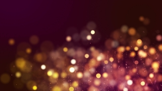 Firework, Explosive, Star, Night, Stars, Light