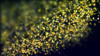 Vascular Plant, Plant, Shrub, Woody Plant, Herb, Yellow