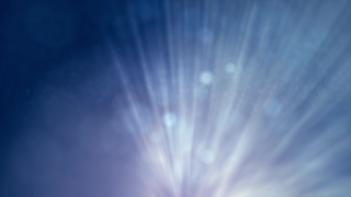 Dandelion, Heat, Herb, Light, Design, Digital