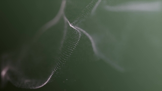 Spider Web, Web, Trap, Cobweb, Insect, Spider