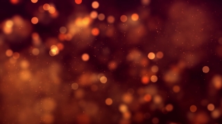 Firework, Star, Explosive, Night, Space, Light
