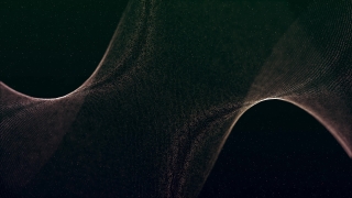 Ray, Stingray, Black, Electric Ray, Texture, Light