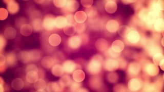Firework, Explosive, Light, Bright, Glow, Blur