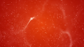 Star, Firework, Design, Wallpaper, Light, Holiday