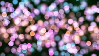 Lilac, Light, Bright, Lights, Blur, Colorful