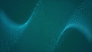 Marine, Ocean, Sea, Water, Underwater, Shark