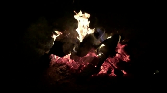 Aquarium, Flame, Fire, Gastropod, Fireplace, Heat