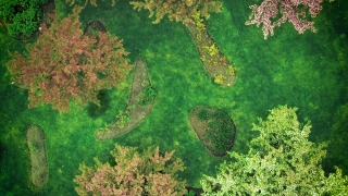Aquatic, River, Forest, Tree, Landscape, Mountain