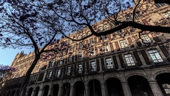 Architecture, Building, Cathedral, Palace, Residence, House