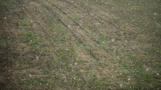 Ascent, Steppe, Land, Slope, Plain, Texture