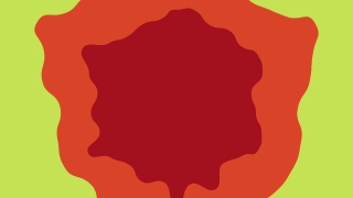 Background Video, Video Background, Background, Motion Background, Background Animation, No Copyright Video