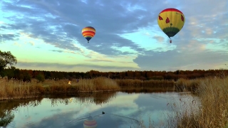 Balloon, Aircraft, Air, Craft, Hot, Sport