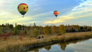 Balloon, Aircraft, Air, Craft, Hot, Sport