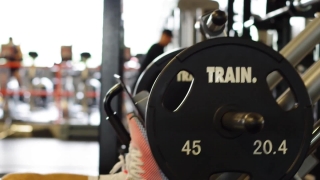 Barbell, Weight, Sports Equipment, Equipment, Dumbbell, Gym