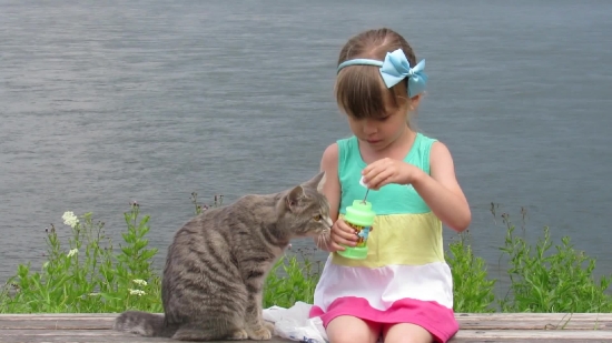 Beach, Child, Sea, Summer, Cat, Happy