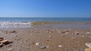 Beach, Ocean, Sand, Sea, Water, Shoreline