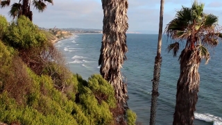 Beach, Ocean, Sea, Water, Shore, Coast