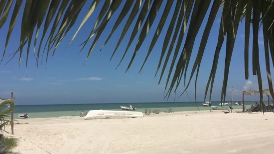 Beach, Sand, Ocean, Sea, Sandbar, Tropical