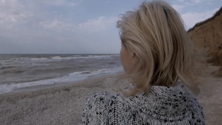 Beach, Sea, Terrier, Sand, Ocean, Vacation