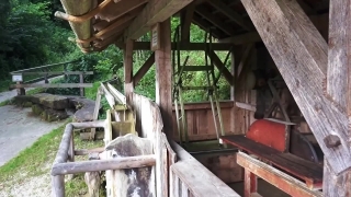 Beam, Factory, Plant, Structure, Building, Wood