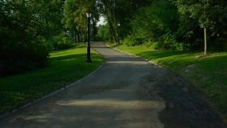 Bend, Tree, Grass, Landscape, Course, Golf