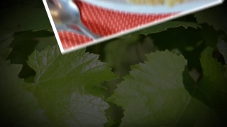 Berry, Strawberry, Edible Fruit, Fruit, Food, Plant