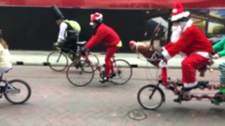 Bicycle, Polo Mallet, Bike, Mallet, Stick, Wheeled Vehicle