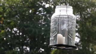 Bird Feeder, Device, Bottle, Glass, Drink, Water