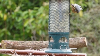 Bird Feeder, Device, Metal, Old, Glass, Industry