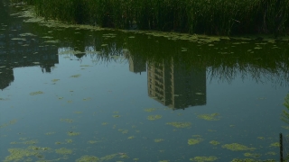 Boathouse, Shed, Outbuilding, Lake, Water, Swamp