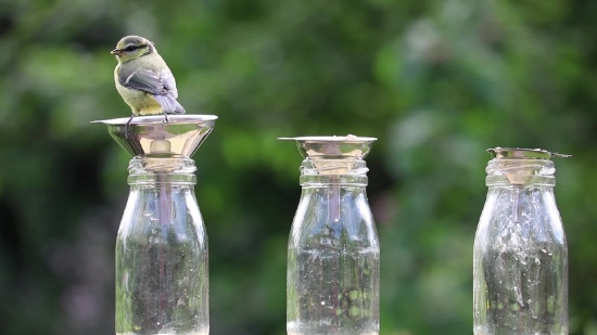 Bottle, Container, Vessel, Glass, Jar, Water