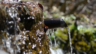 Bottle, Water, Insect, Close, Chocolate Sauce, Fresh