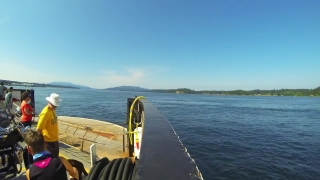 Breakwater, Barrier, Sea, Water, Obstruction, Ocean