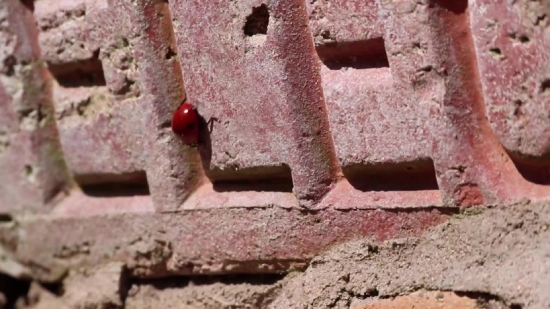 Brick, Building Material, Wall, Old, Stone, Architecture