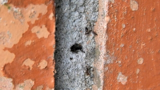 Brick, Wall, Building Material, Texture, Old, Surface