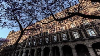 Building, Architecture, Palace, Residence, Cathedral, House