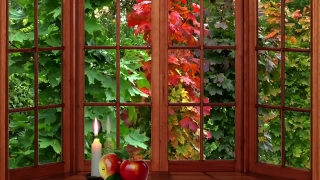 Building, Door, Sliding Door, Greenhouse, Decoration, Structure
