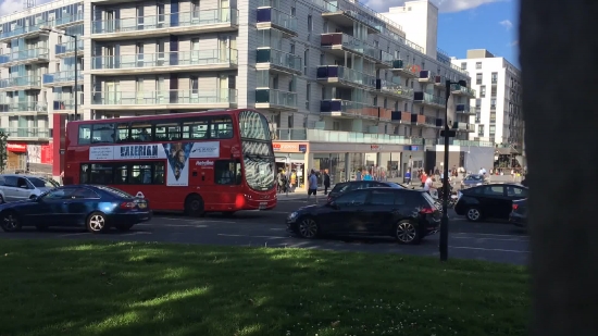 Bus, Minibus, Public Transport, Car, Street, City