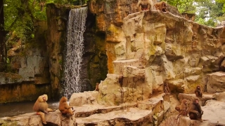 Canyon, Cave, Geological Formation, Ravine, Rock, Valley