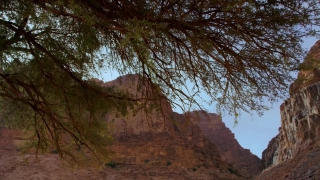 Canyon, Cliff, Landscape, Mountain, Park, National
