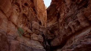 Canyon, Ravine, Valley, Rock, Sandstone, Park