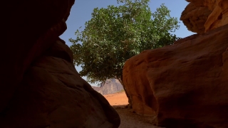 Canyon, Rock, Desert, Sandstone, Landscape, Sand