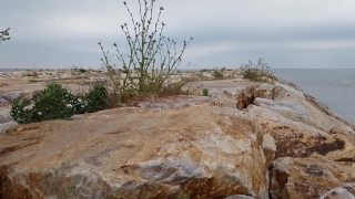 Canyon, Rock, Landscape, Desert, Stone, Valley