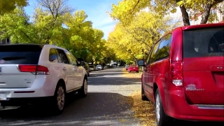 Car, Motor Vehicle, Road, Cab, Sidewalk, Truck