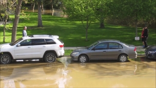 Car, Vehicle, Automobile, Transportation, Auto, Motor Vehicle