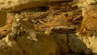 Cave, Geological Formation, Rock, Stone, Geology, Landscape